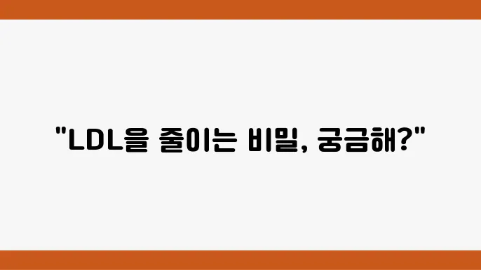 운동과 LDL 콜레스테롤의 관계