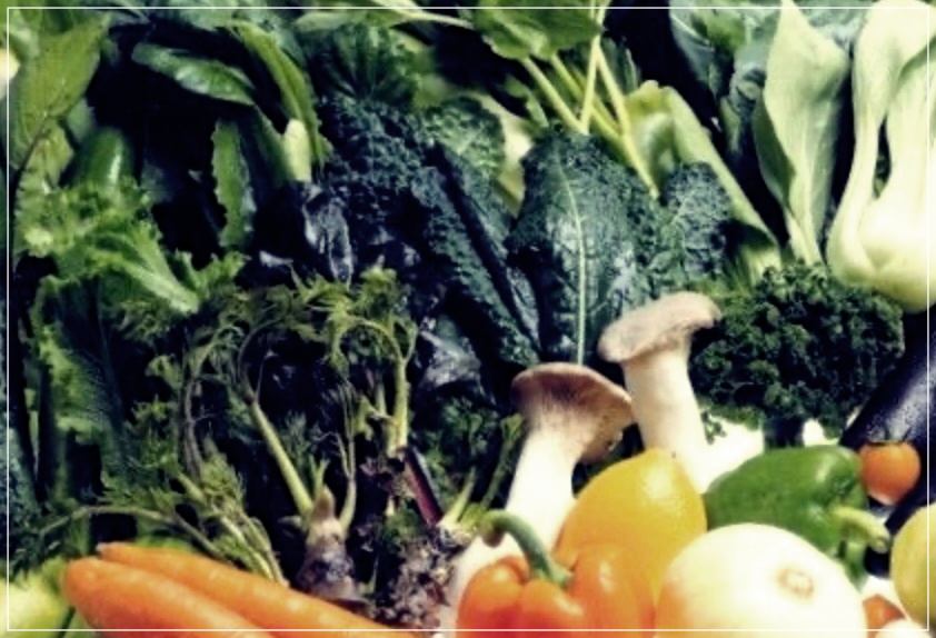 사타구니 백선 치료법 3가지 추천.