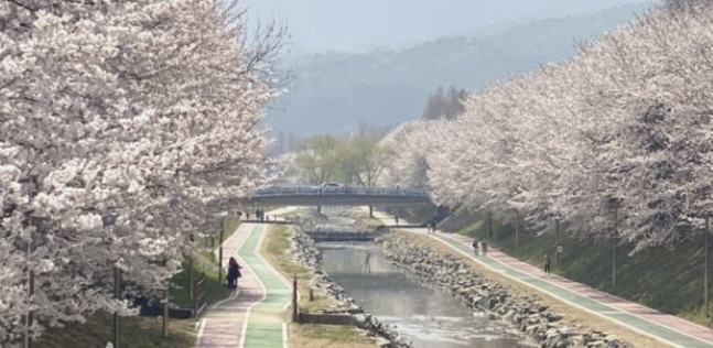 양재천