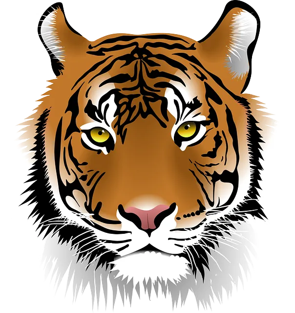 호랑이가 죽는 꿈 사진