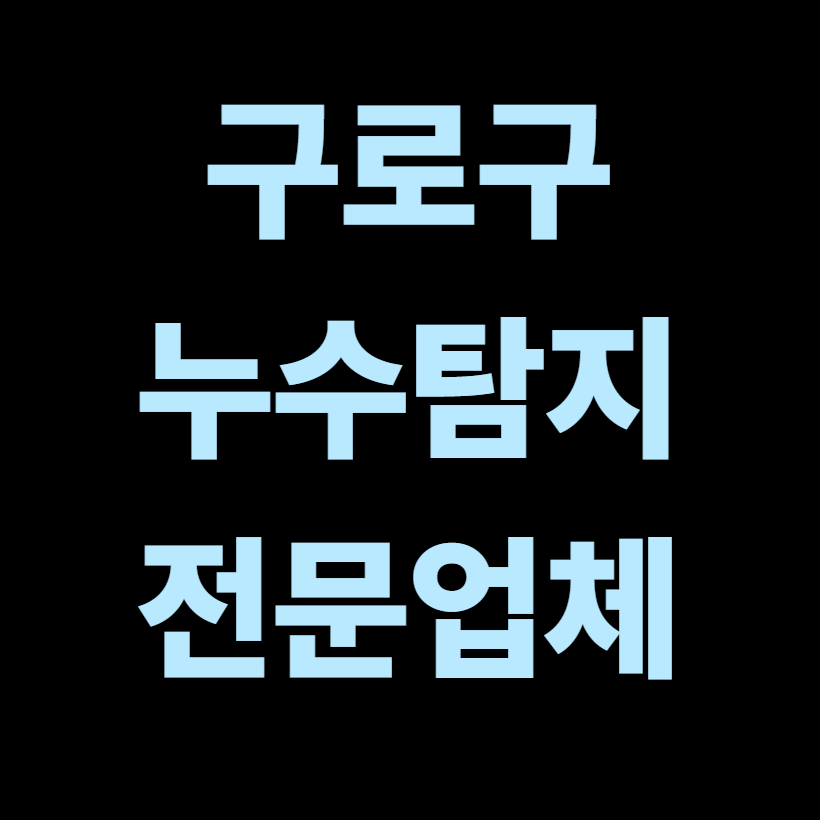 구로구 누수탐지 전문업체