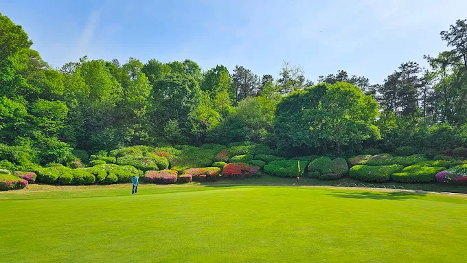 블루원 용인 컨트리클럽 골프장 소개 및 예약방법