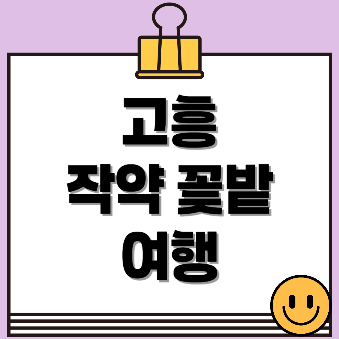 고흥 작약 꽃밭, 더 늦기 전에 핑크빛 가득한 인생사진 남기러 떠나요.🌸