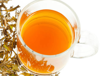 우엉차 효능 10가지 및 부작용