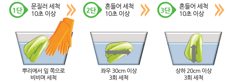 절임배추의 세척방법