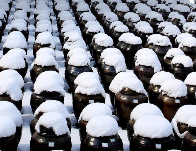 발효음식의 효능: 건강에 미치는 긍정적인 영향