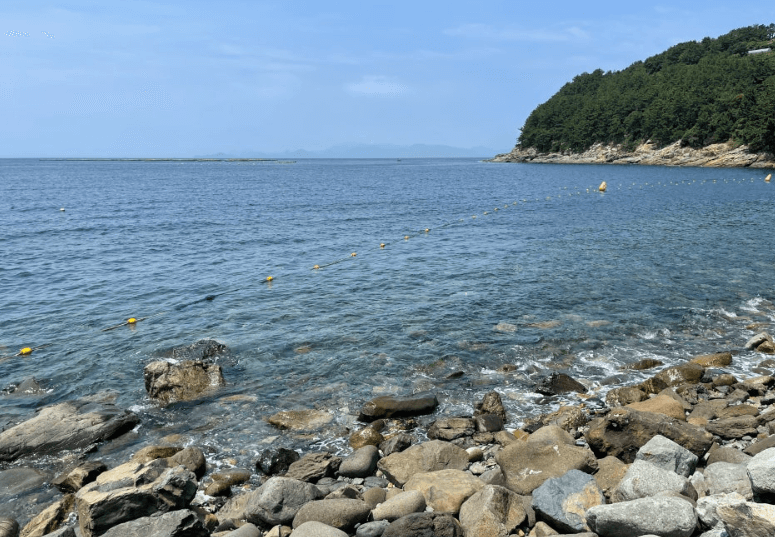 도동해변