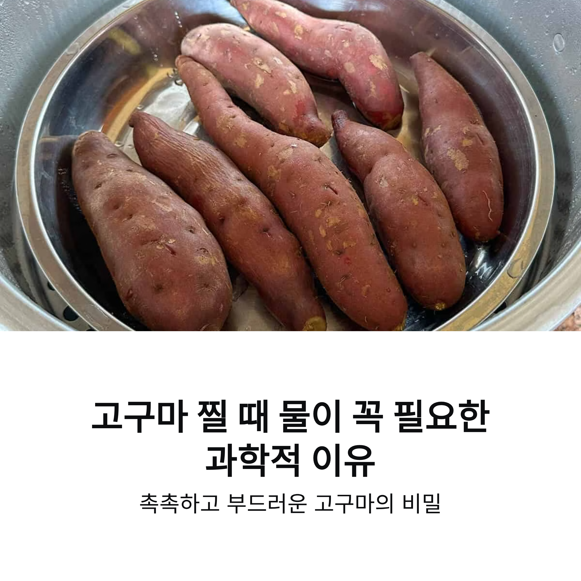 고구마 찔 때 물이 꼭 필요한 과학적 이유를 알면 실패가 사라집니다