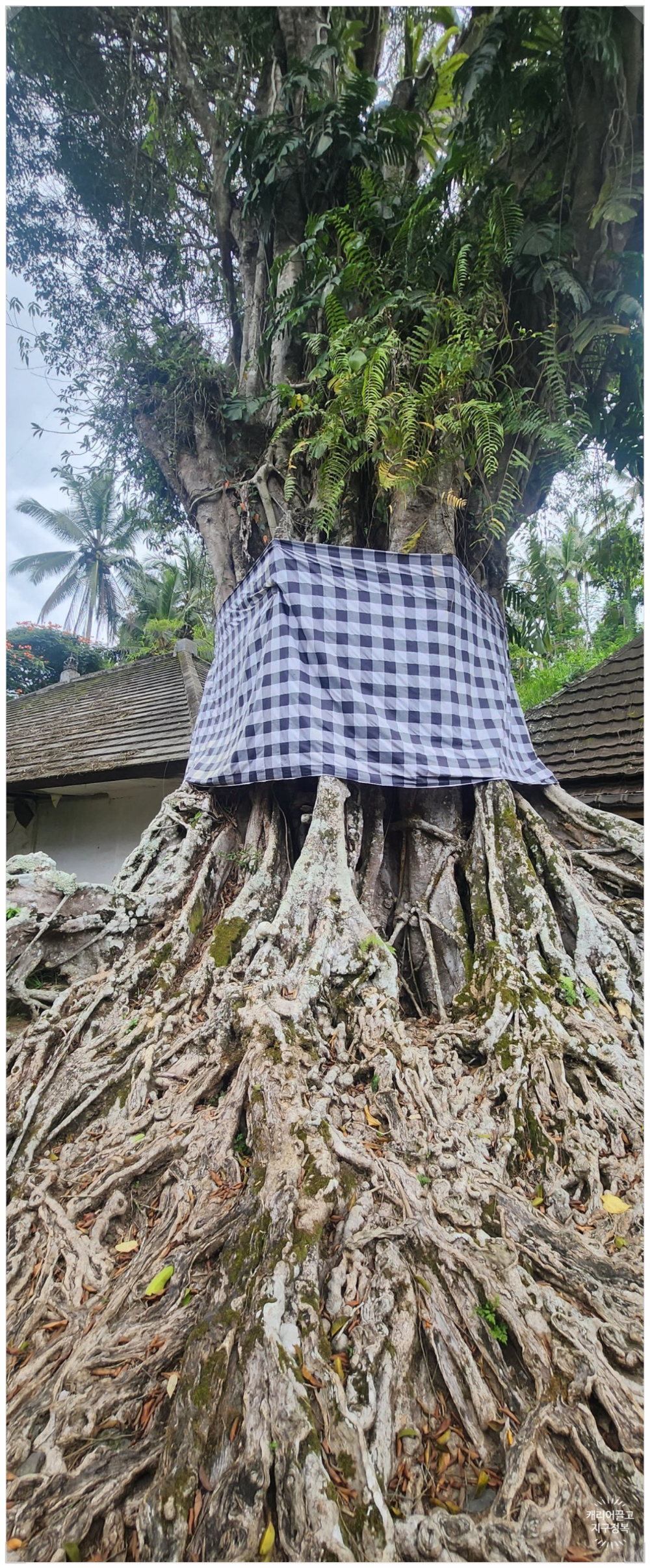 티르타 엠풀 사원(Tirta পণ্ডিত Temple)