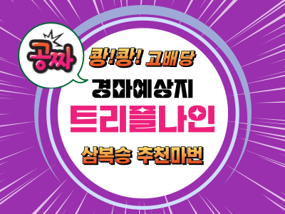 고배당 삼복승 추천마권 트리플나인 무료 경마예상지