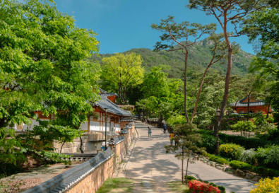 무료로 떠나는 전국 여행 추천 명소