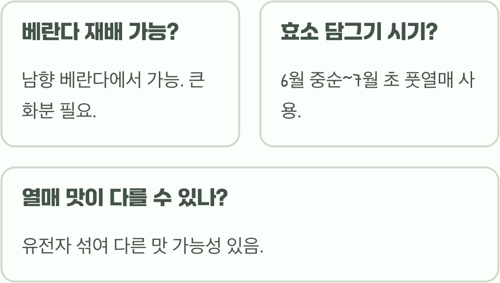 개복숭아 나무 키우기, 씨앗 발아부터 열매까지 완벽 가이드