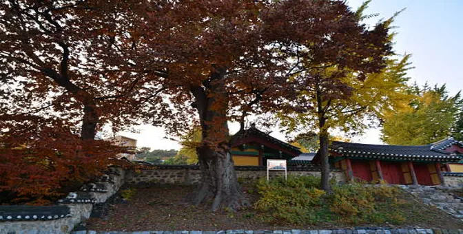 김포향교