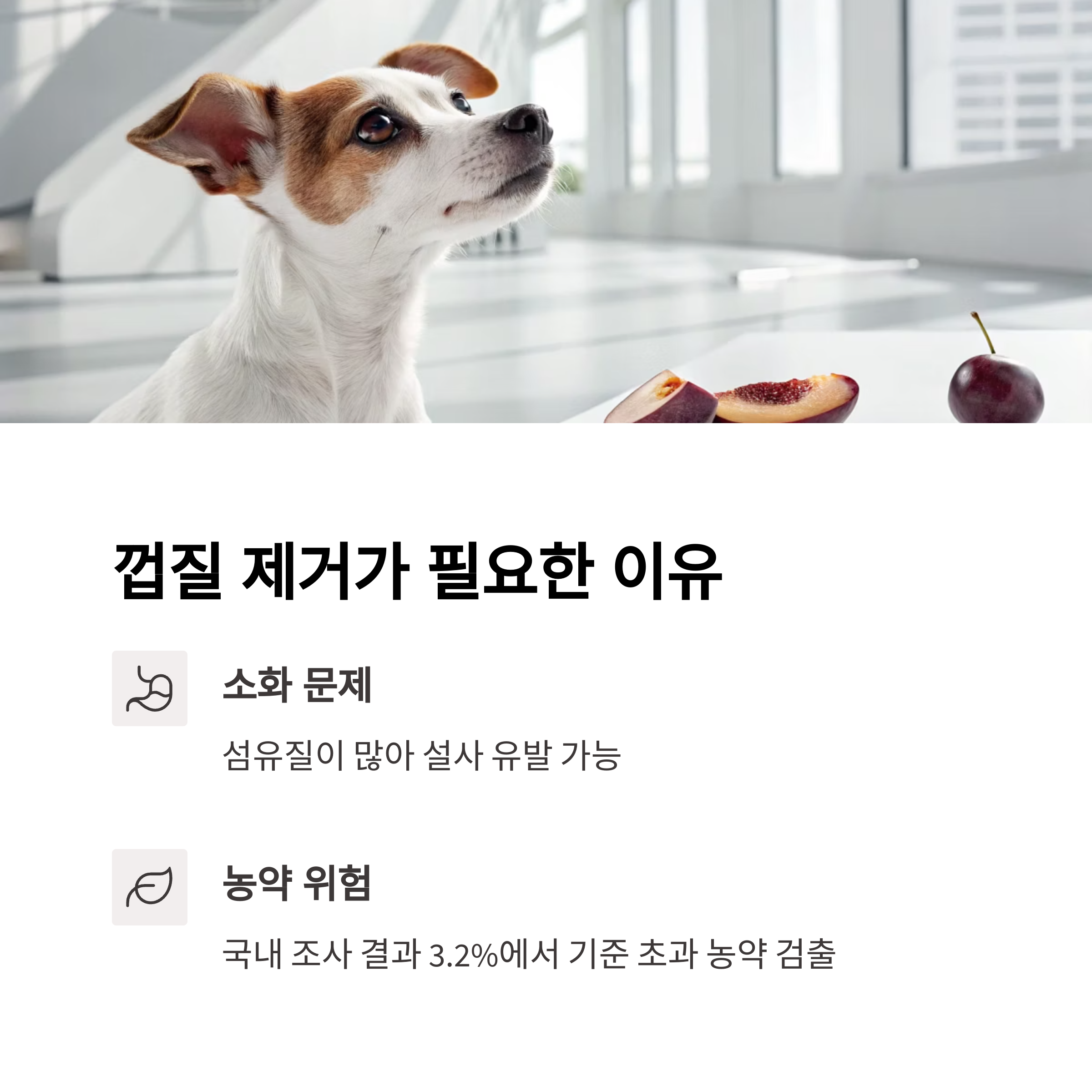 껍질 제거가 필요한 이유