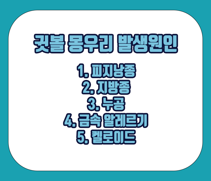 귓볼 몽우리가 생기는 원인 - 피지낭종, 지방종, 누공, 금속 알레르기, 켈로이드