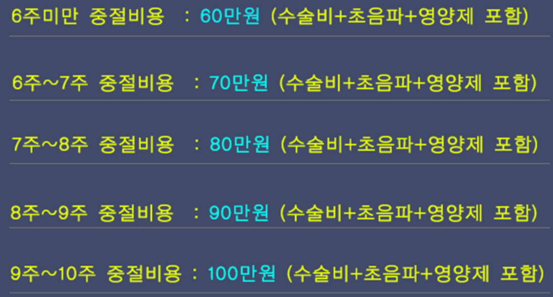 산부인과 낙태비용