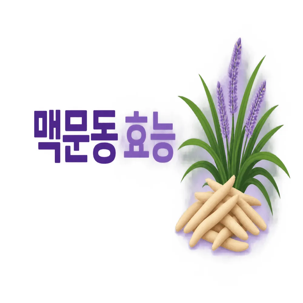 맥문동 효능