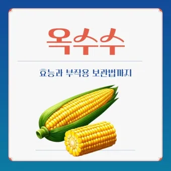 옥수수 효능과 옥수수 삶는 방법 전자렌지 초당옥수수 찰옥수수 차이 비교 자료_19