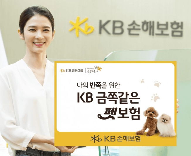 금쪽같은 펫보험