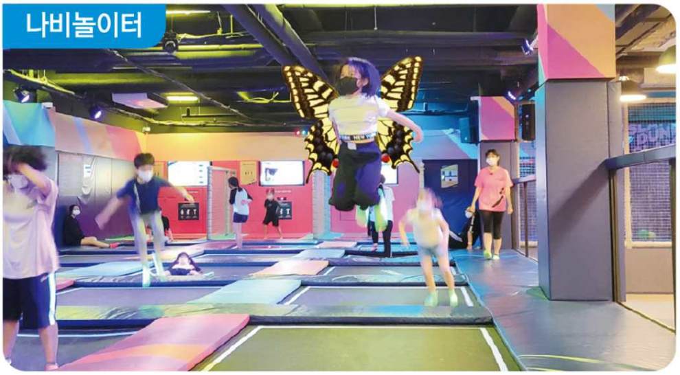 함평나비대축제