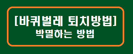 [바퀴벌레 퇴치방법] 박멸하는 추천방법