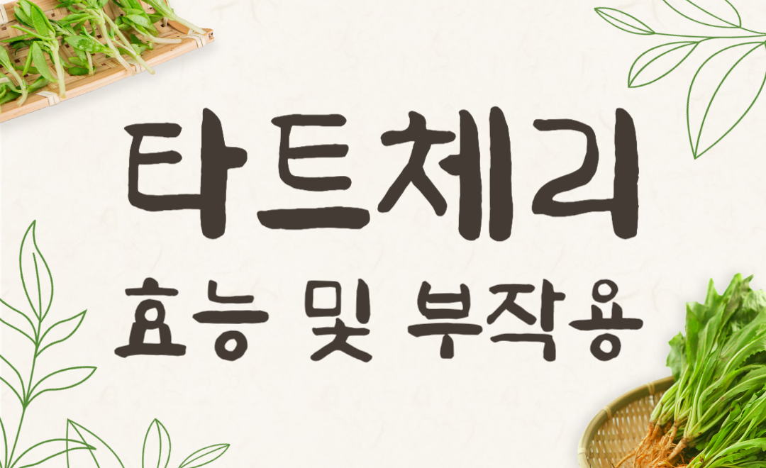 타트체리 효능부터 하루 섭취량까지! 부작용 없이 건강하게 먹는 방법