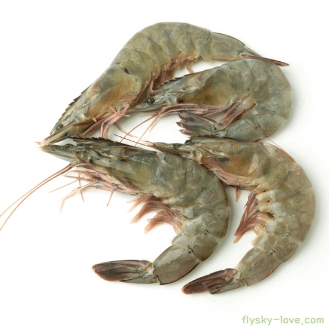 흰다리새우 효능