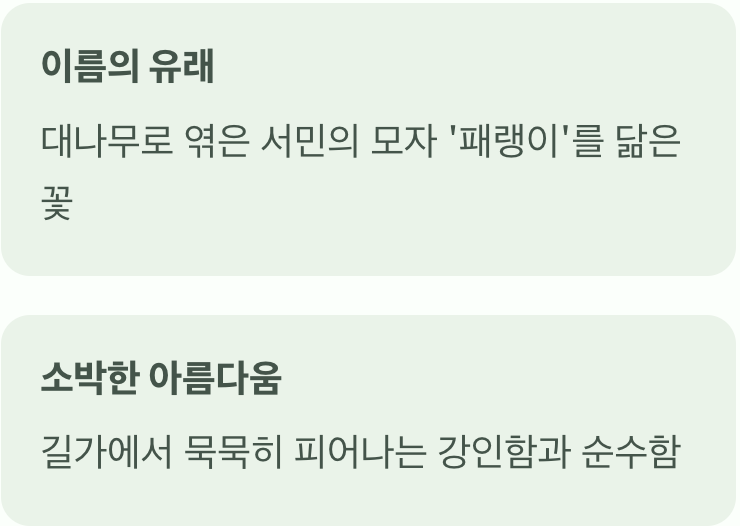 가난한 선비의 모자, 그 이름의 유래