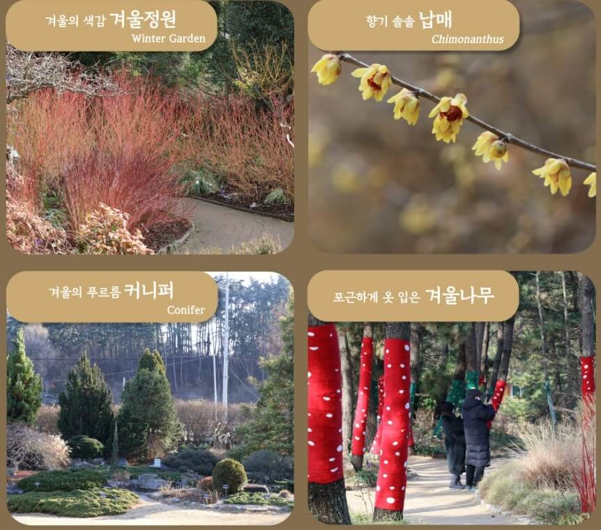 천리포수목원-꽃들6