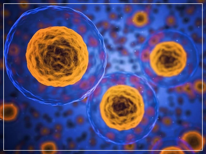 인공지능이 예측하는 미래 질병 지도: AI가 빅데이터로 분석한 향후 10년간 유행할 질병 트렌드