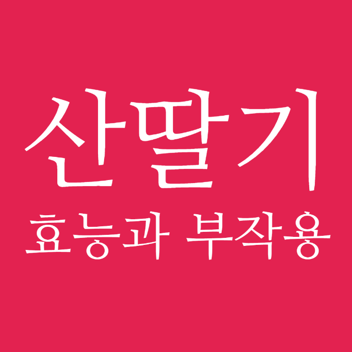 산딸기효능 03