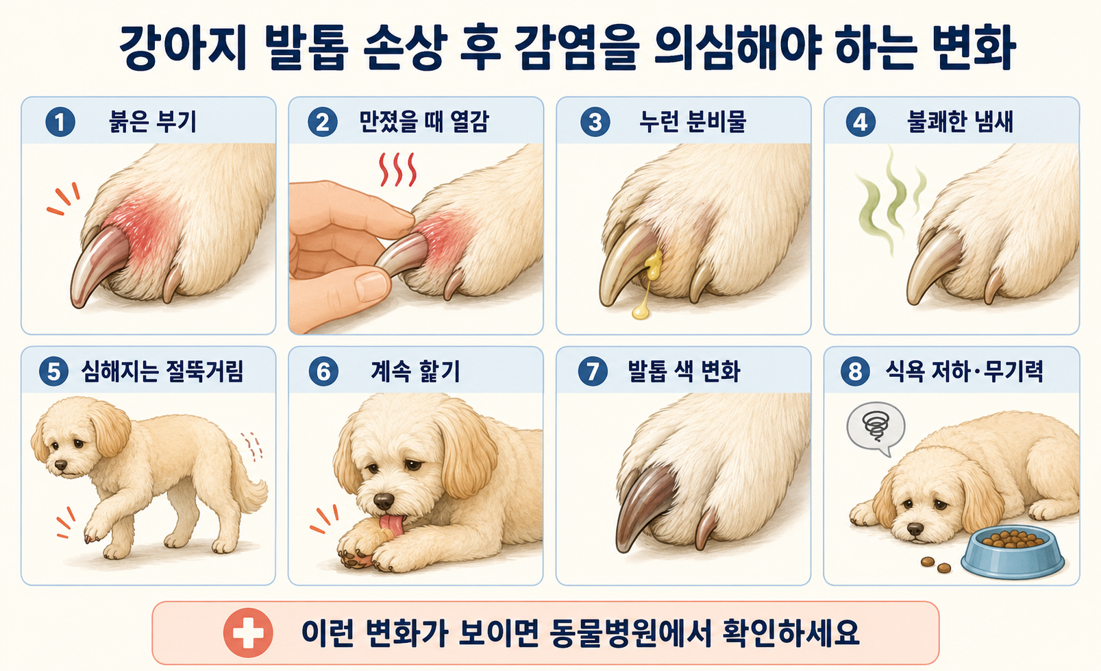 강아지 발톱 손상 후 감염을 의심해야 하는 증상 정리 이미지