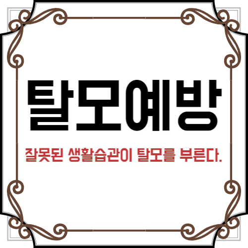 탈모예방
