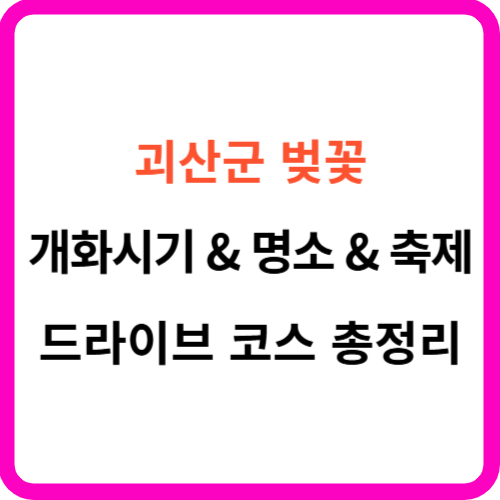 괴산 벚꽃 개화시기 축제 명소 드라이브 코스 를 한눈에! 썸네일