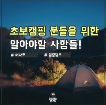 캠핑 초보를 위한 꼬치구이 레시피 및 조리법 정리_3