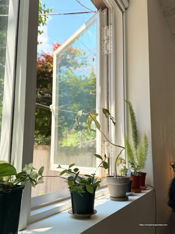 아이코 카페에서