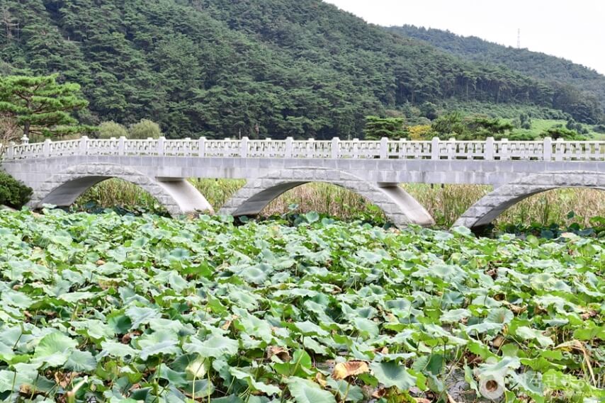 영광 가볼만한곳 베스트 10