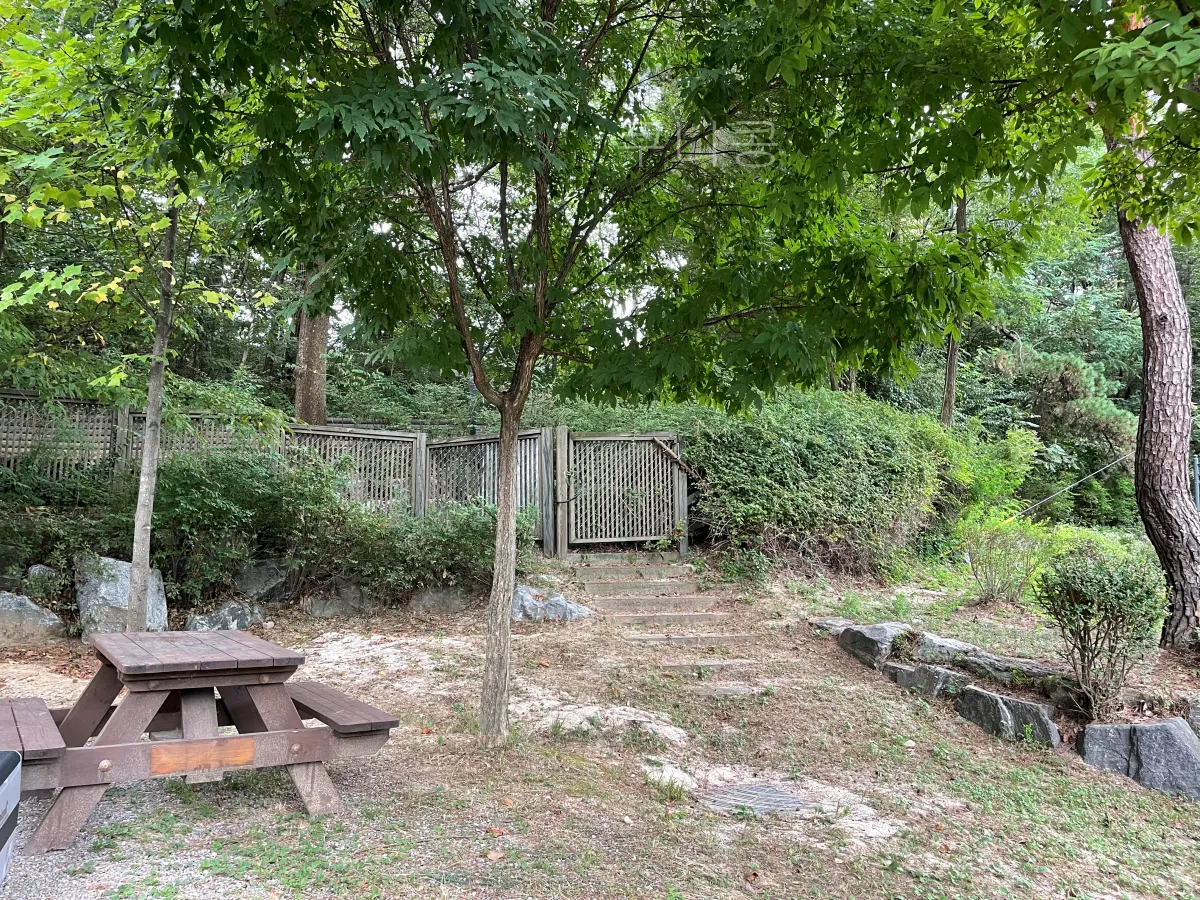 서울-가족캠핑-피크닉-추천-초안산캠핑장-자리,예약-꿀팁