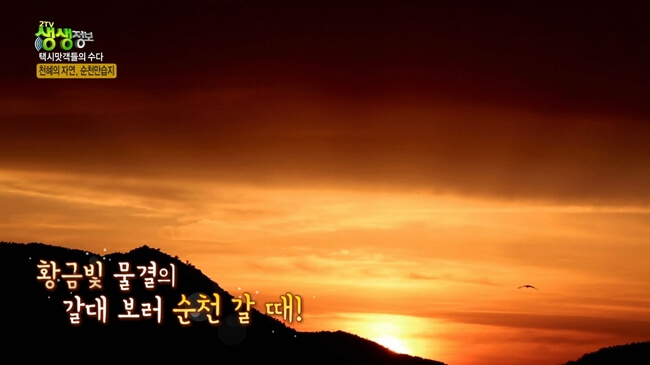 순천-석양