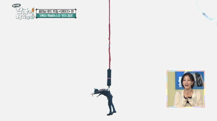 덴마크편-번지점프