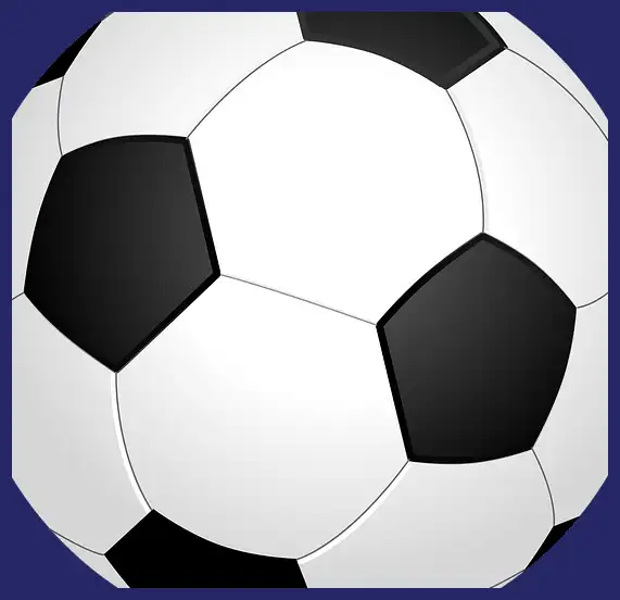 축구 중계방송 (한국 팔레스타인)