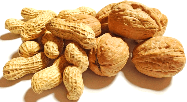 땅콩이 들어있는 껍질이 있는 땅콩들과 호두가 들어있는 껍질이 있는 동그란 호두들이 가득하다.