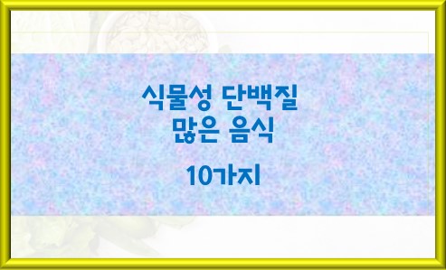 식물성 단백질 많은 음식