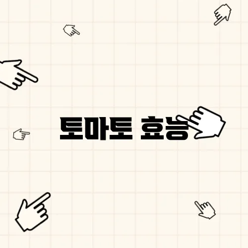 토마토 효능
