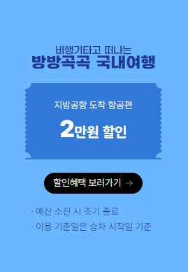 국내항공권할인 및 반려동물운임지원