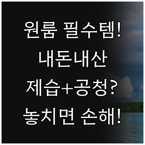 보아르 모아M1000 원룸 자취생 필..