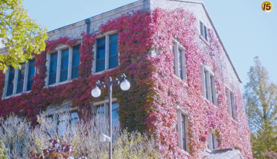 여신강림 새봄고등학교