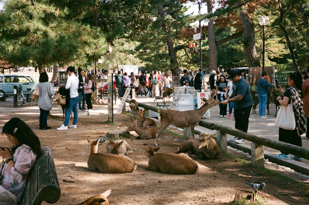 Pet Expo