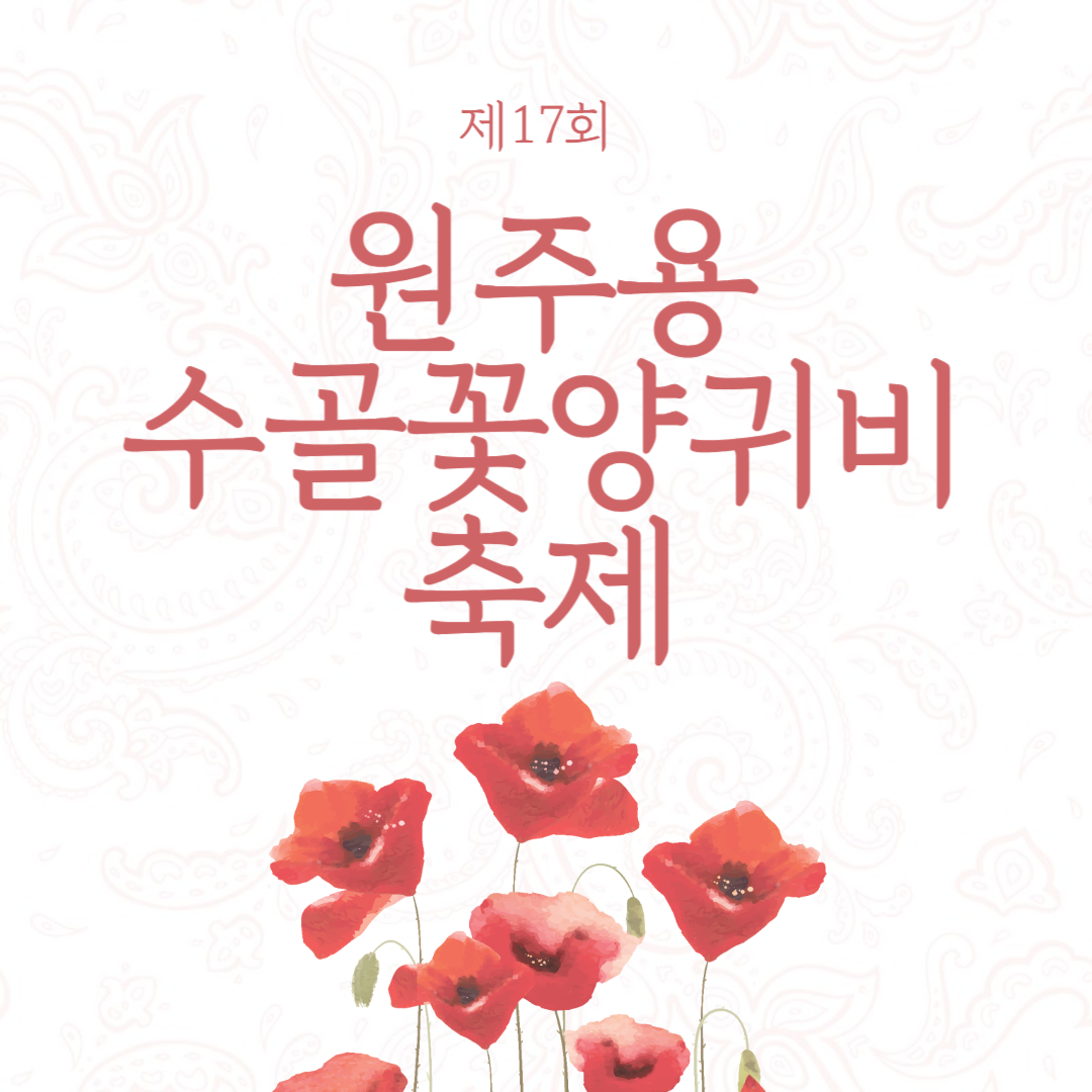 제17회 원주 용수골 꽃양귀비 축제 소개