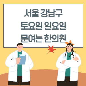 서울 강남구 토요일 일요일 한의원 진료 병원 리스트